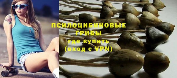 крисы Алексеевка