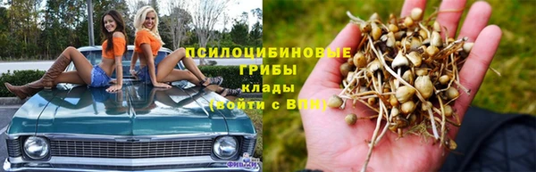 крисы Алексеевка